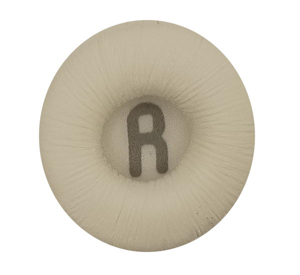 Ear cushion