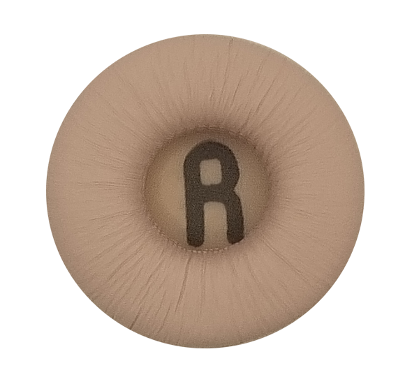 Ear cushion