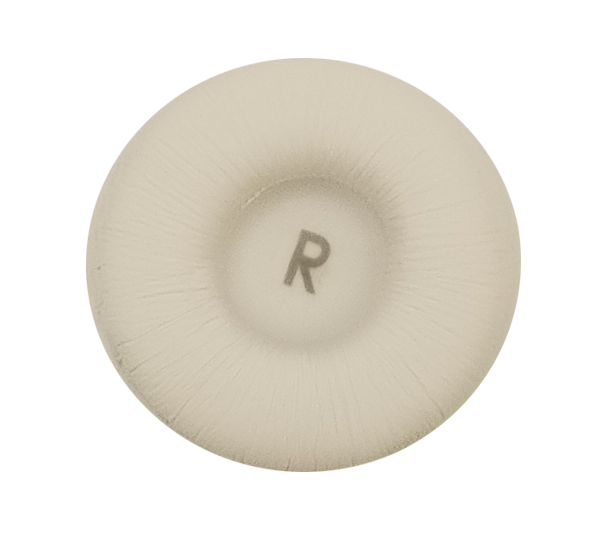Ear cushion