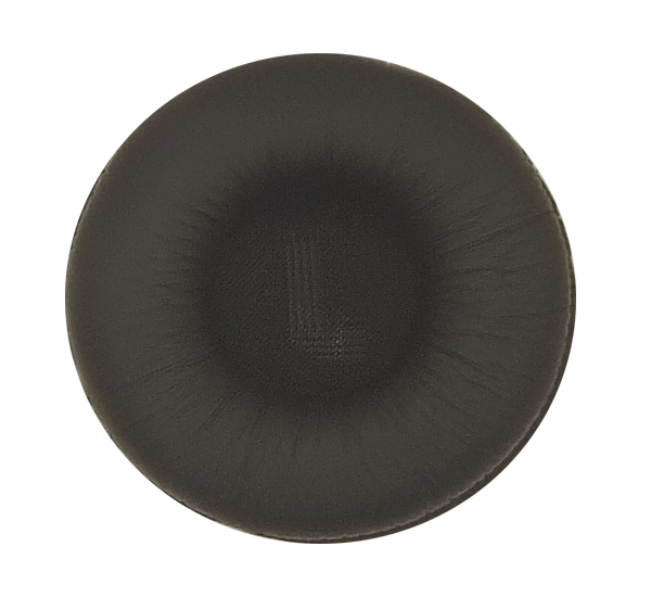 Ear cushion
