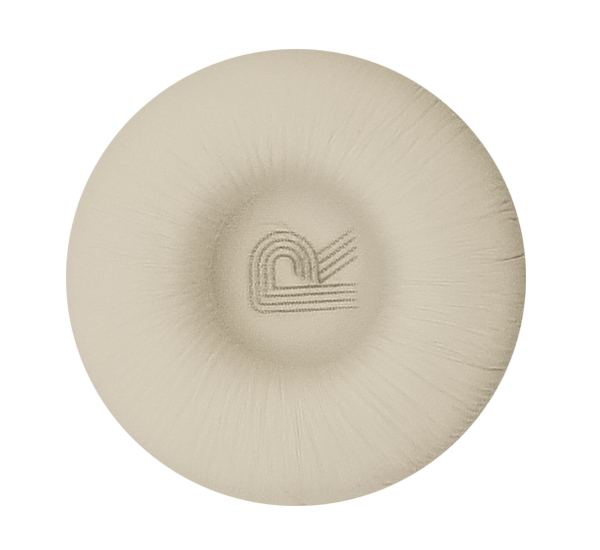 Ear cushion
